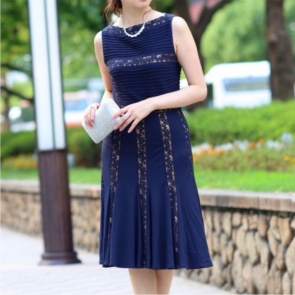 Tadashi Shoji Lace Panel Dress